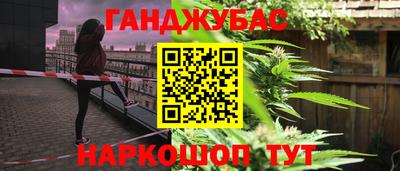прущие грибы Тверь