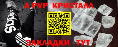 прущие грибы Тверь